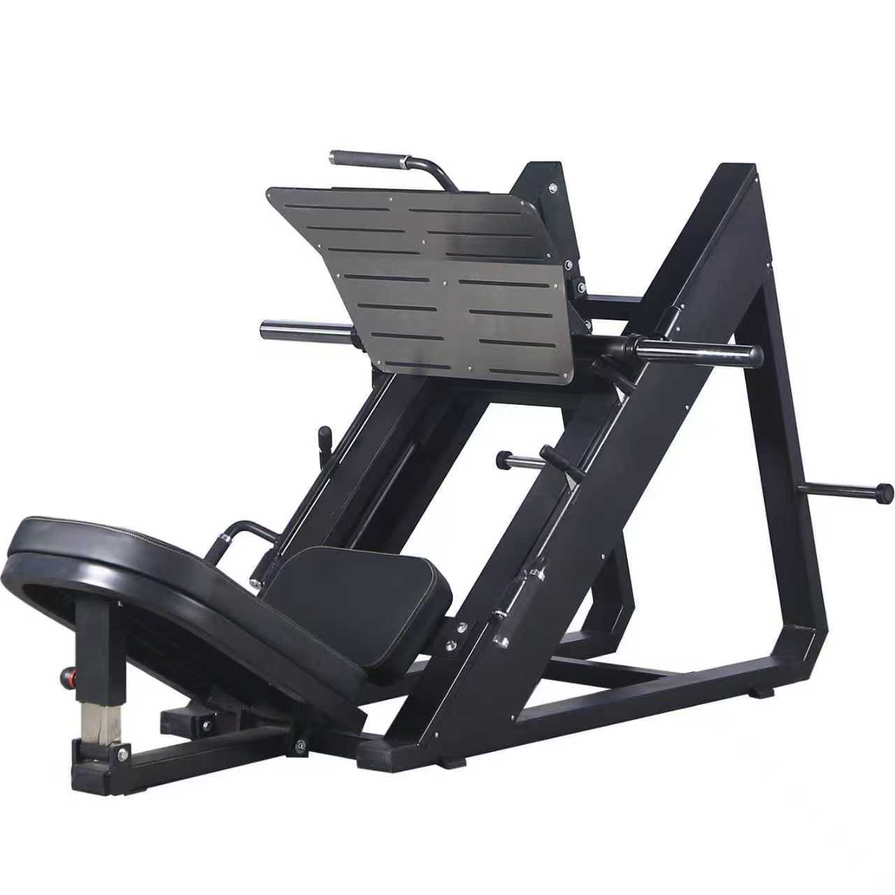 Leg Press / Hack Squat Machine